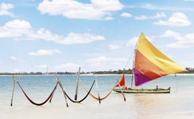 Ecoturismo<br/>Roteiros completos